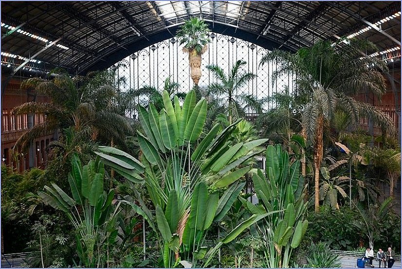 Foto de Madrid (Comunidad de Madrid), España