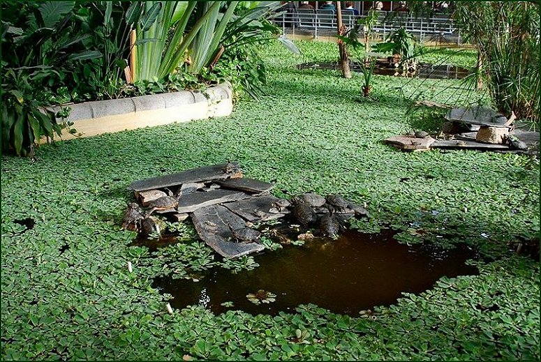 Foto de Madrid (Comunidad de Madrid), España