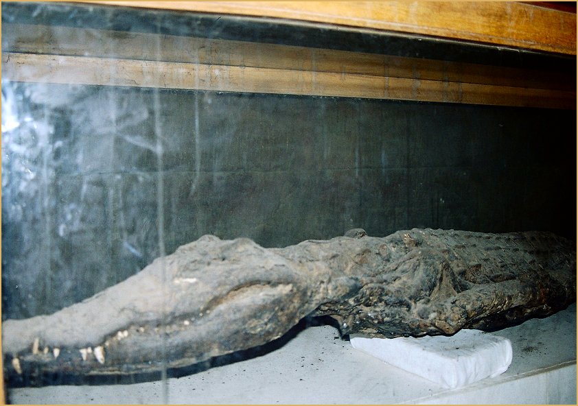 Foto de KOM OMBO, Egipto