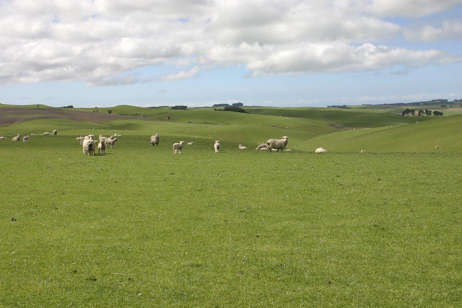 Foto de Fortrose, Nueva Zelanda