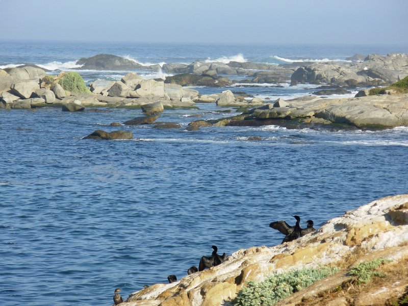 Foto de QUINTERO, Chile