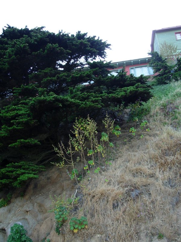 Foto de QUINTERO, Chile