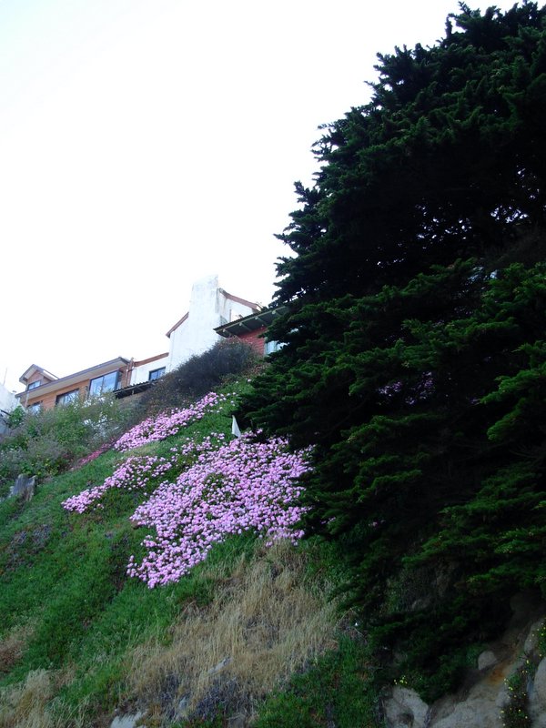 Foto de QUINTERO, Chile