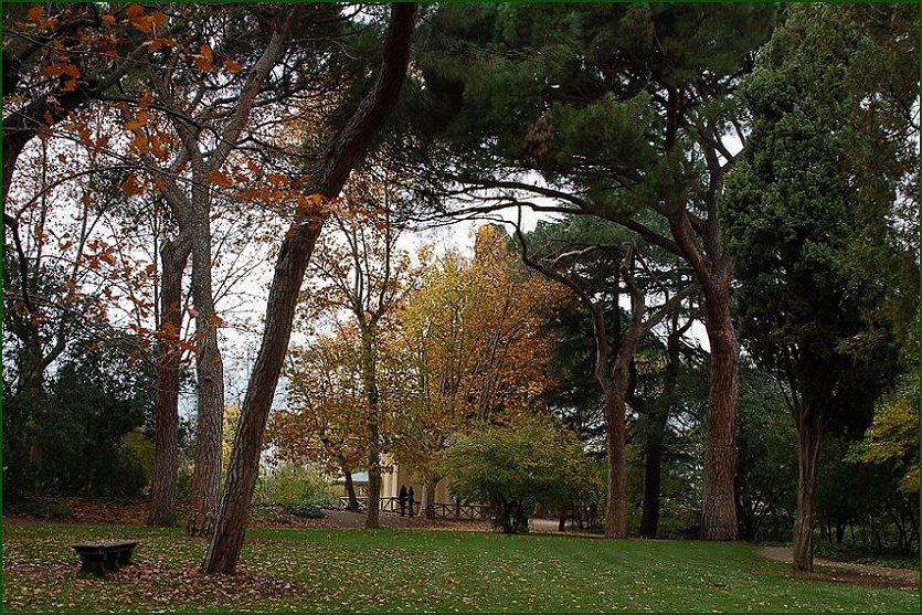 Foto de Madrid (Comunidad de Madrid), España