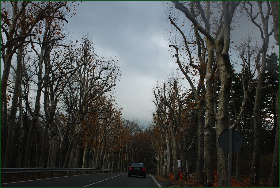 Foto de La Granja (Segovia), España