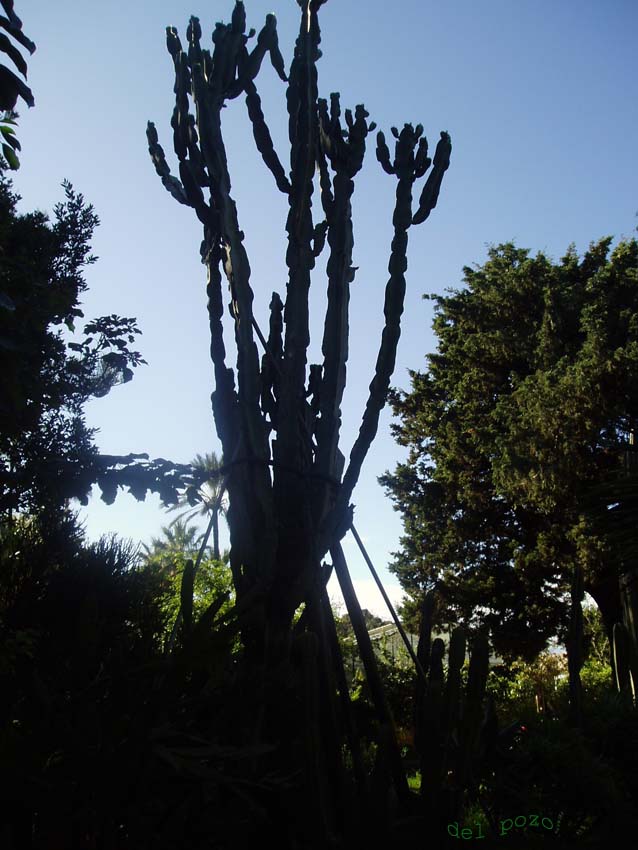 Foto de Cádiz (Andalucía), España
