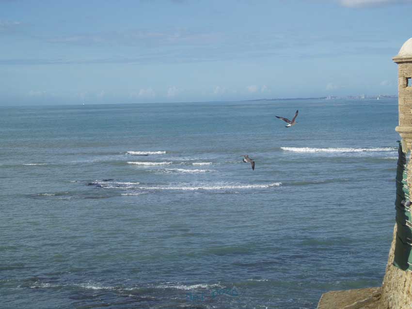 Foto de Cádiz (Andalucía), España