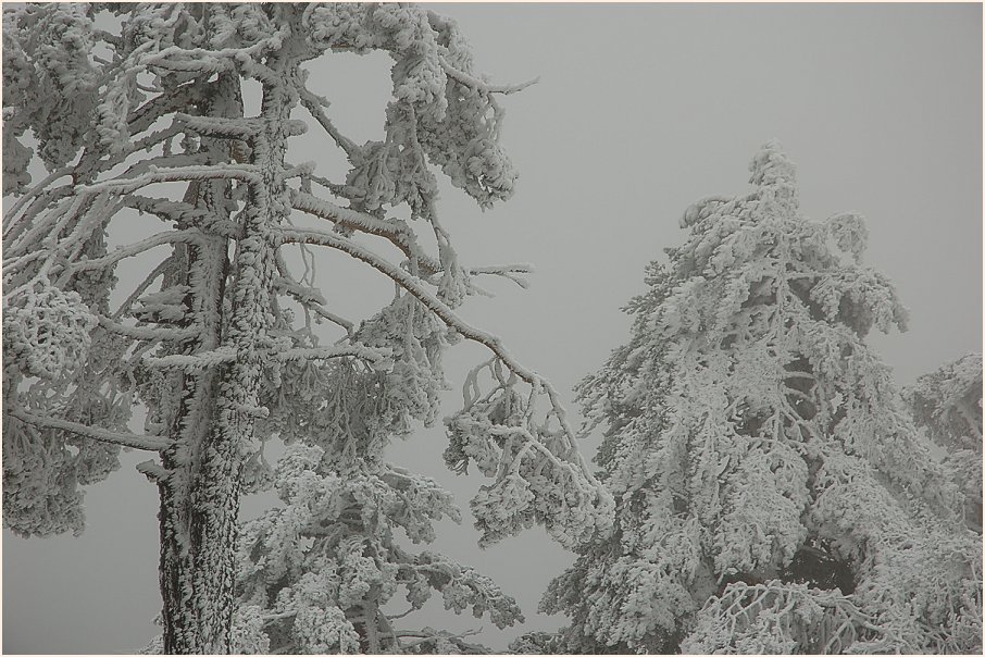 Foto de Navacerrada (Madrid), España