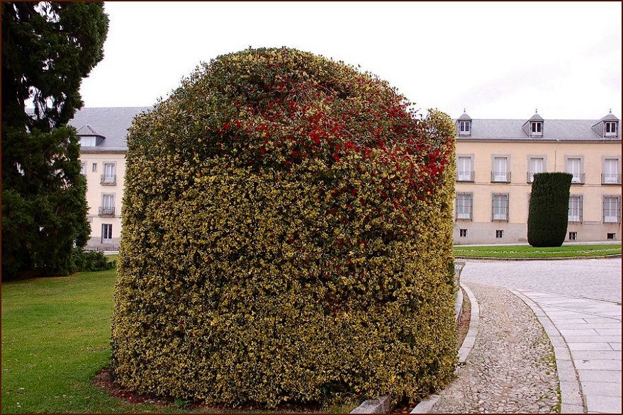 Foto de La Granja (Segovia), España
