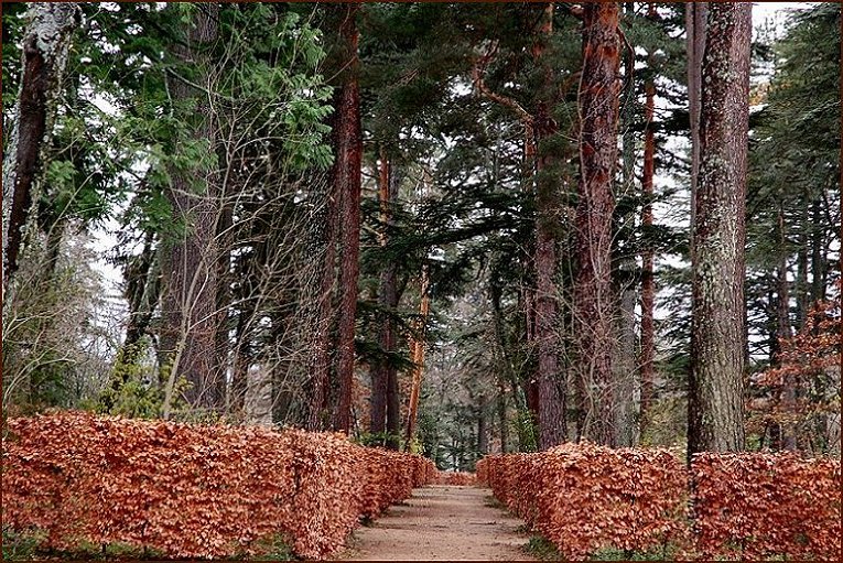 Foto de La Granja (Segovia), España