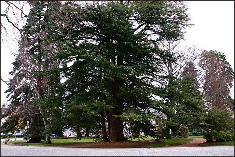 Foto de La Granja (Segovia), España