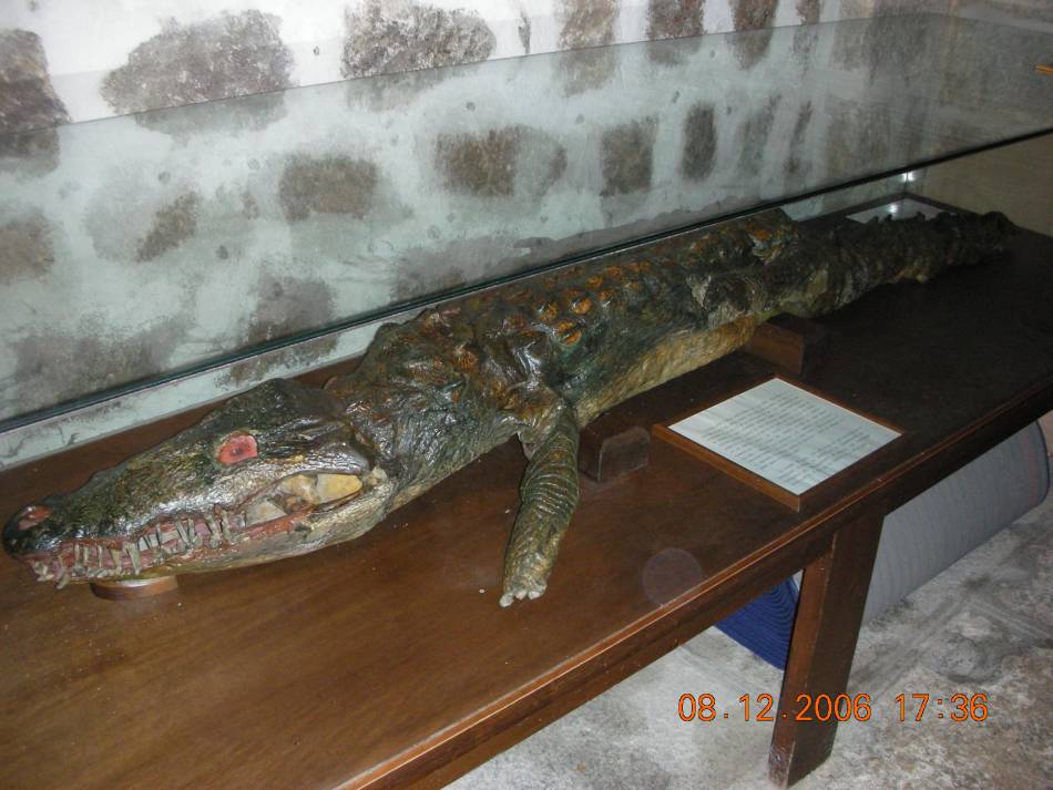 Foto de Ávila (Castilla y León), España