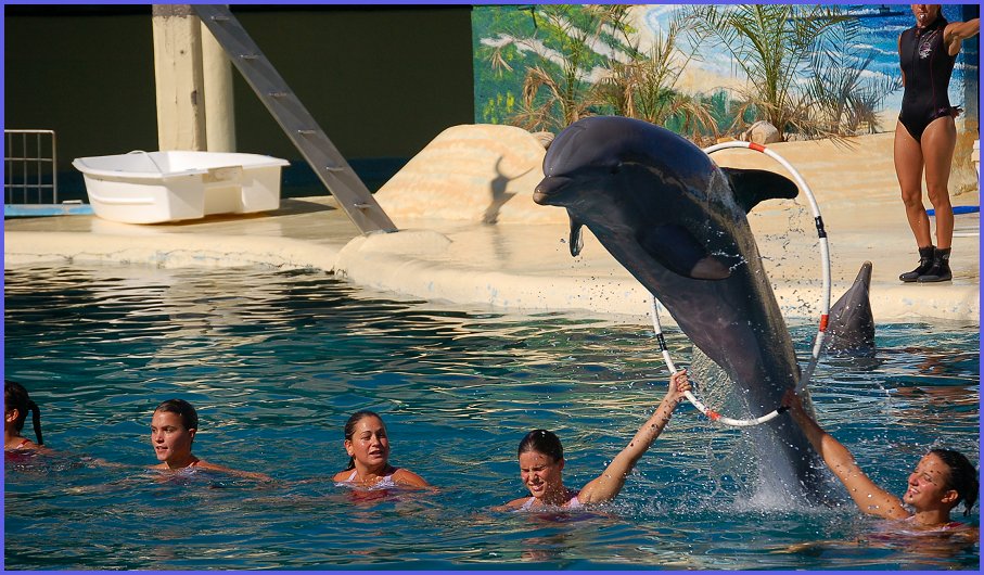 Foto de Madrid (Comunidad de Madrid), España