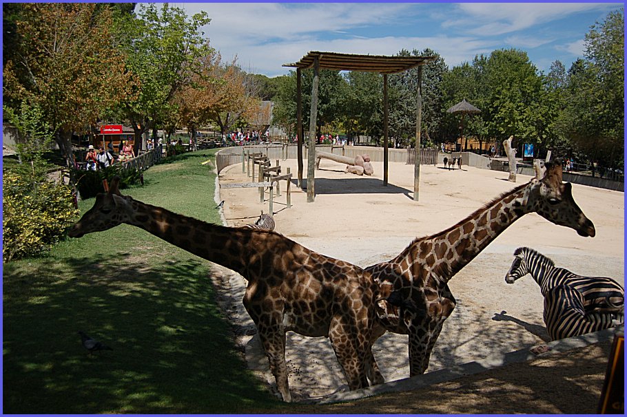 Foto de Madrid (Comunidad de Madrid), España