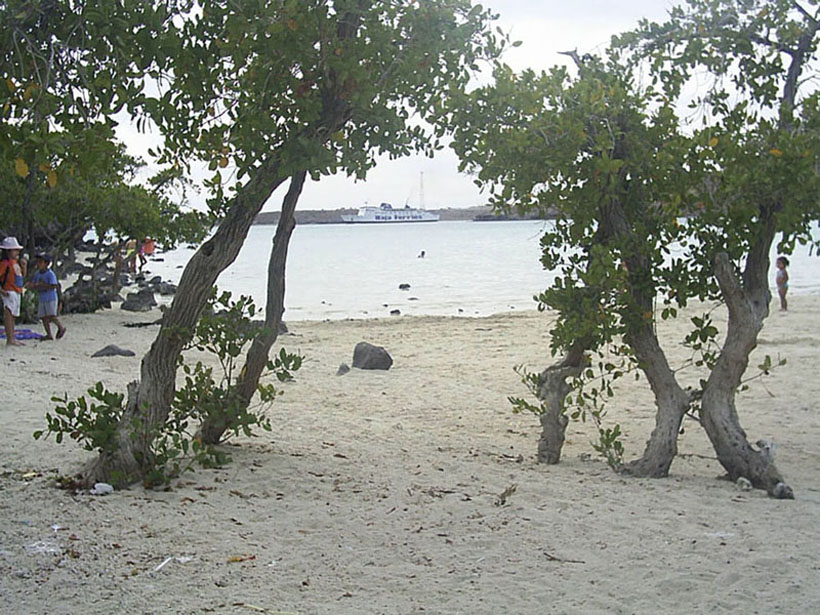 Foto de Baja California Sur, México