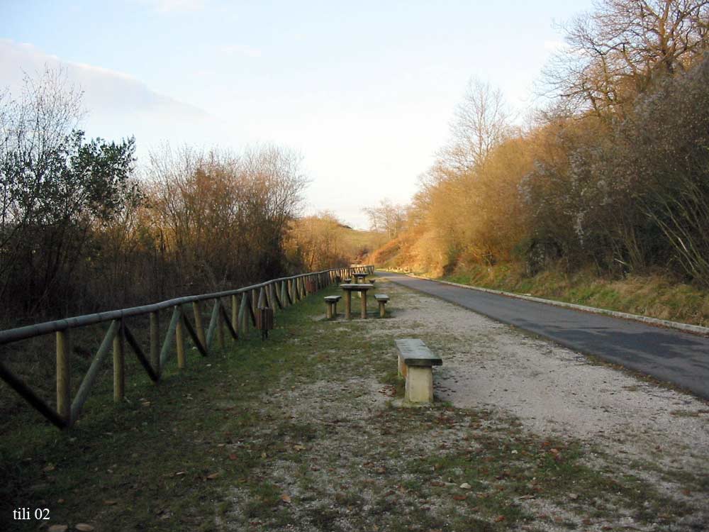 Foto de Oviedo (Asturias), España