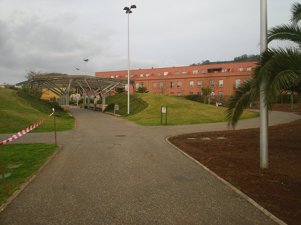 Foto de La Laguna (Santa Cruz de Tenerife), España