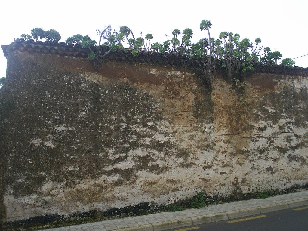 Foto de La Laguna (Santa Cruz de Tenerife), España