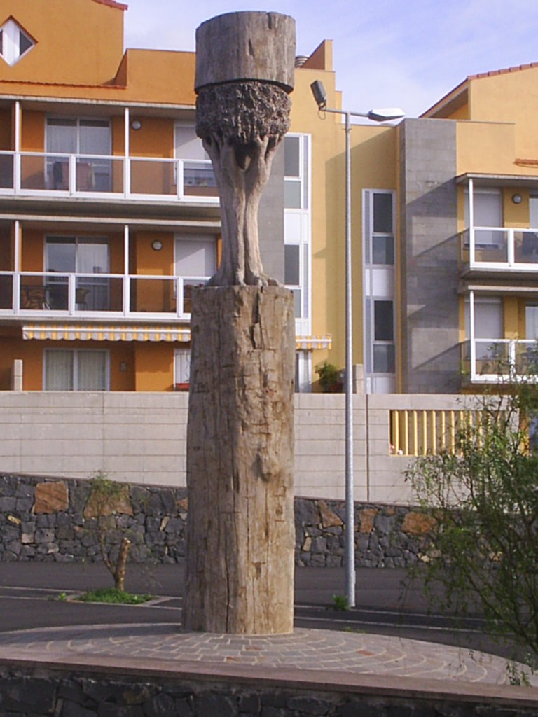 Foto de La Laguna (Santa Cruz de Tenerife), España