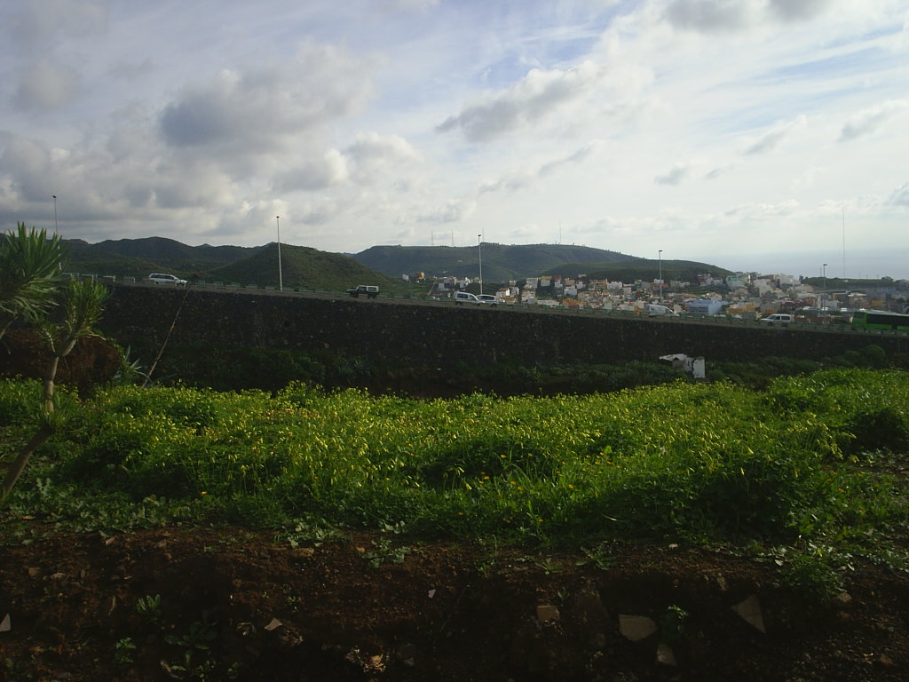 Foto de La Laguna (Santa Cruz de Tenerife), España