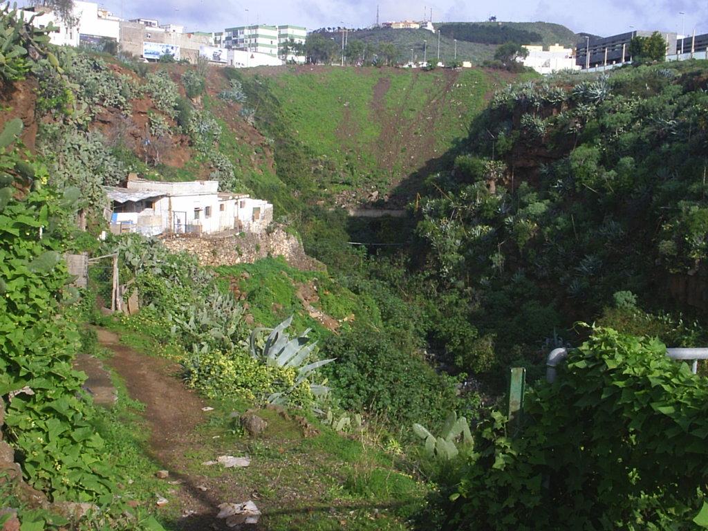 Foto de La Laguna (Santa Cruz de Tenerife), España