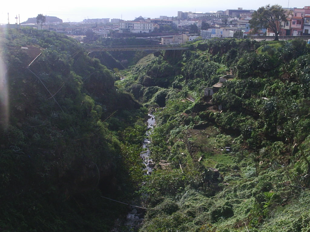 Foto de La Laguna (Santa Cruz de Tenerife), España