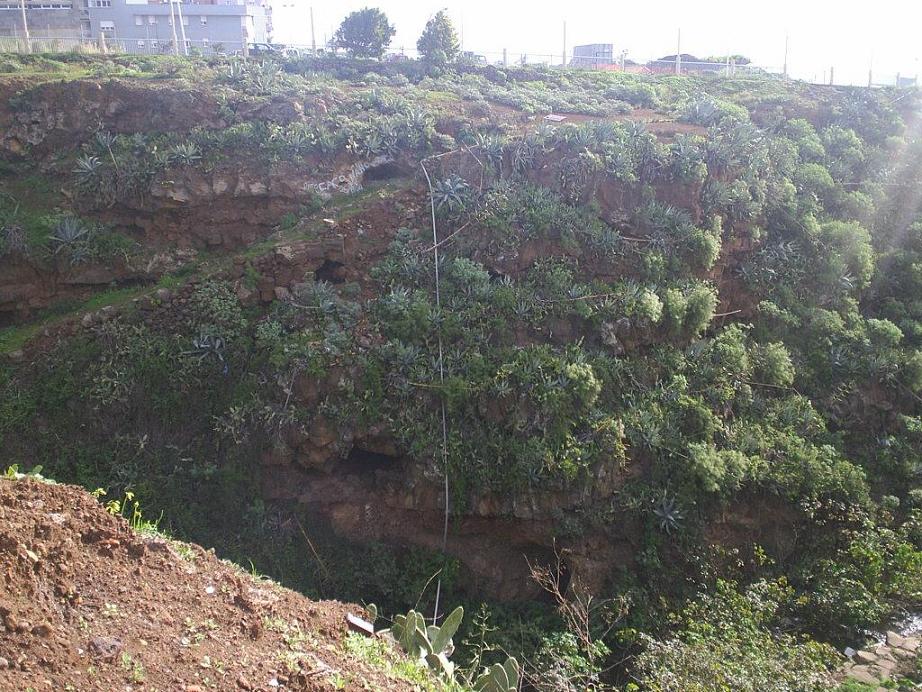 Foto de La Laguna (Santa Cruz de Tenerife), España