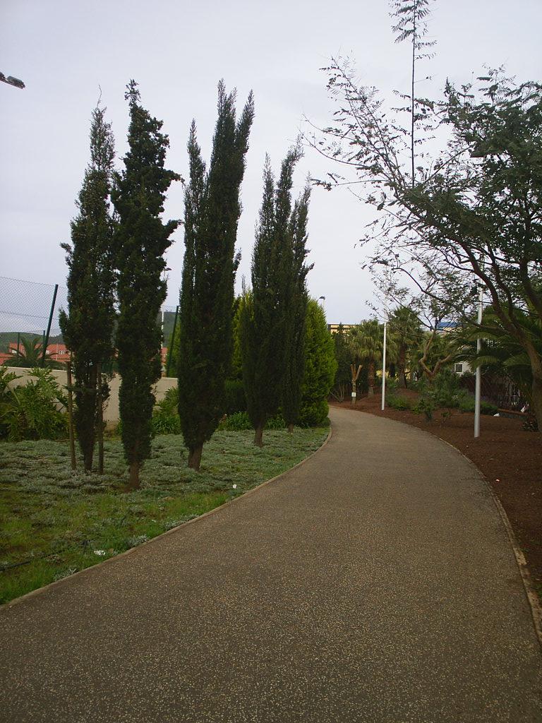 Foto de La Laguna (Santa Cruz de Tenerife), España