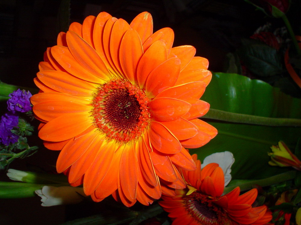 Foto de Arona (Santa Cruz de Tenerife), España