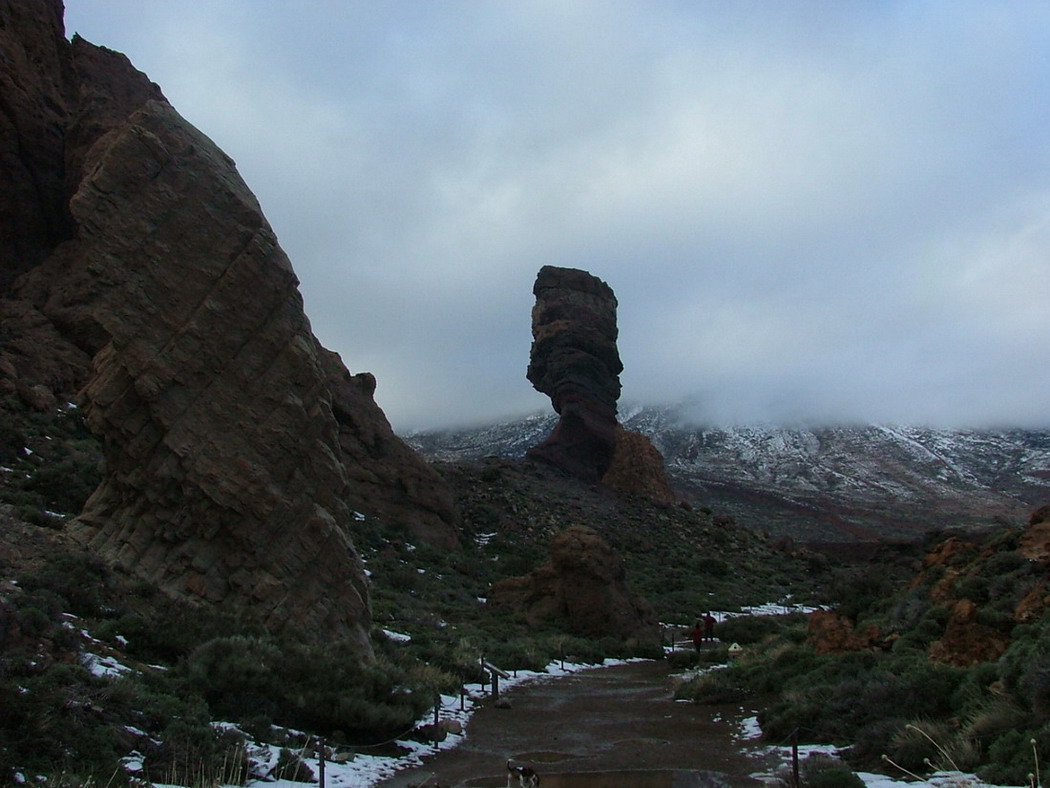 Foto de Tenerife (Santa Cruz de Tenerife), España