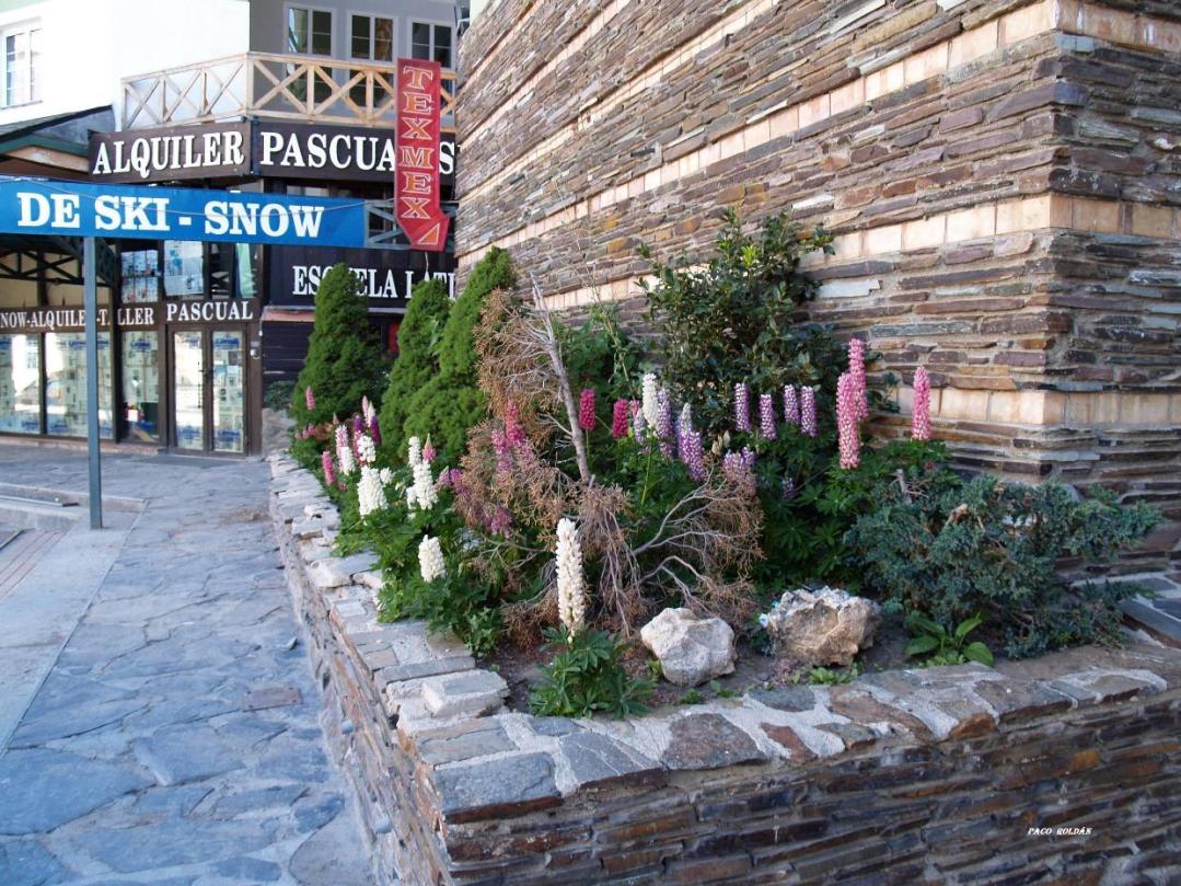 Foto de Sierra Nevada (Granada), España