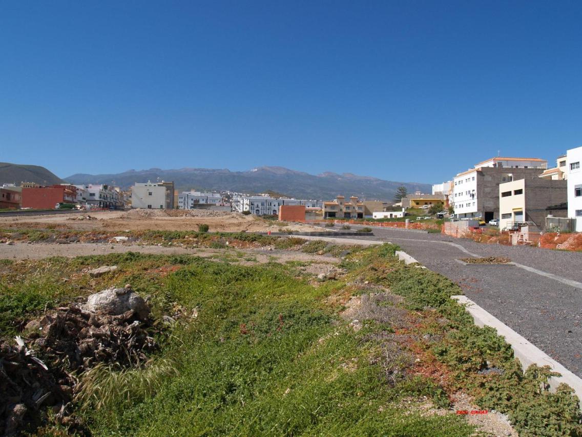 Foto de San Isidro - Tenerife (Santa Cruz de Tenerife), España