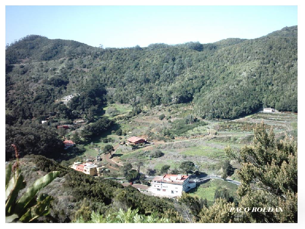 Foto de Tenerife (Santa Cruz de Tenerife), España