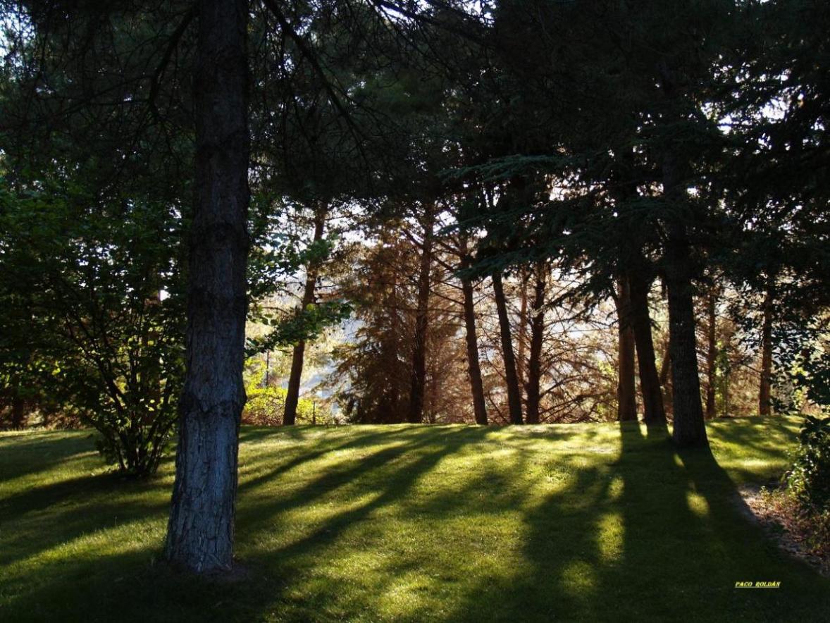 Foto de Granada (Andalucía), España