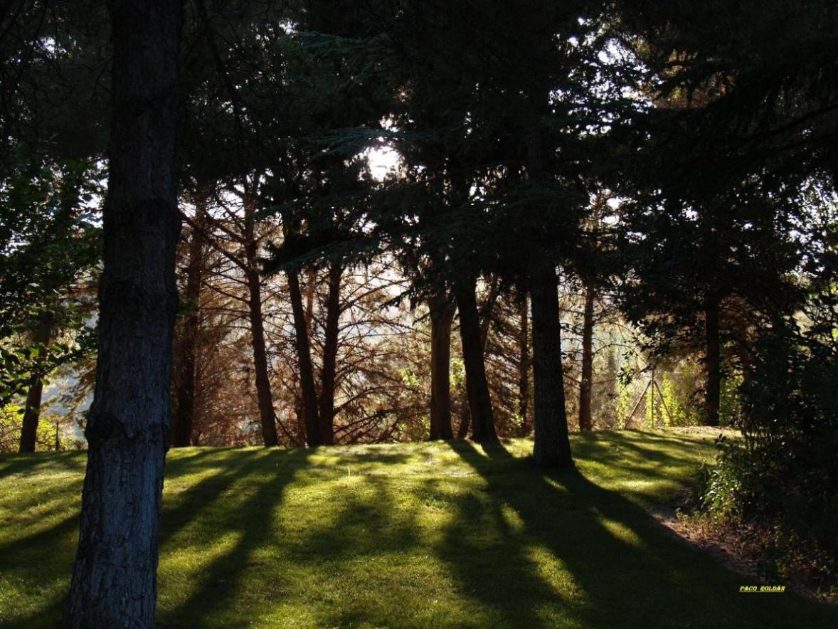 Foto de Granada (Andalucía), España