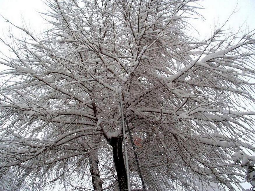 Foto de Albacete (Castilla La Mancha), España
