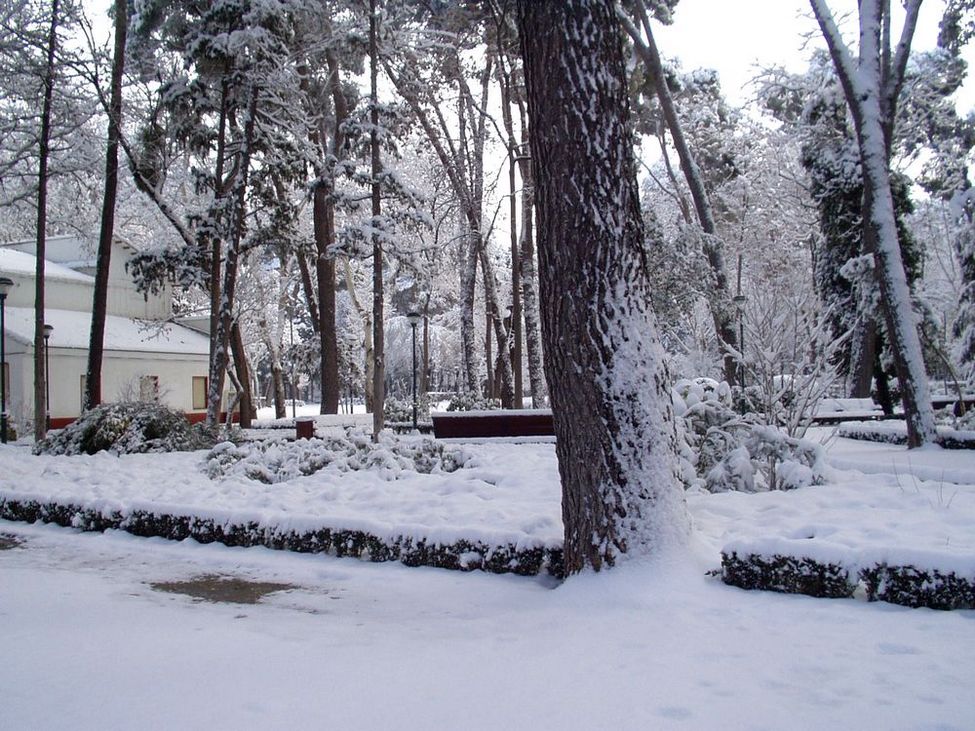 Foto de Albacete (Castilla La Mancha), España