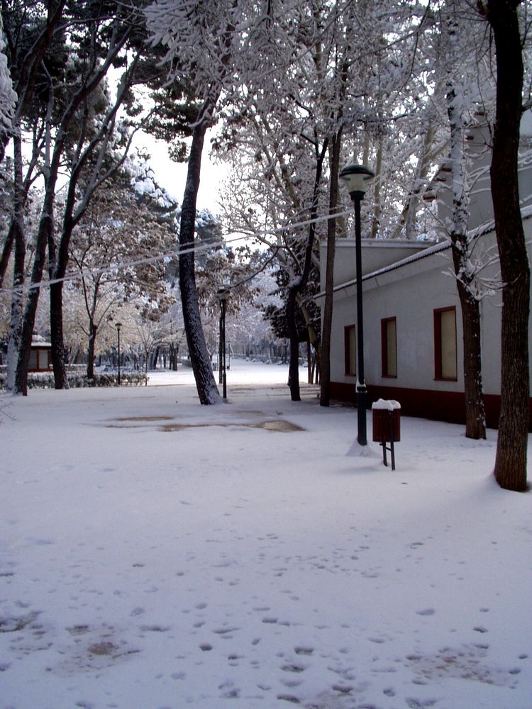 Foto de Albacete (Castilla La Mancha), España