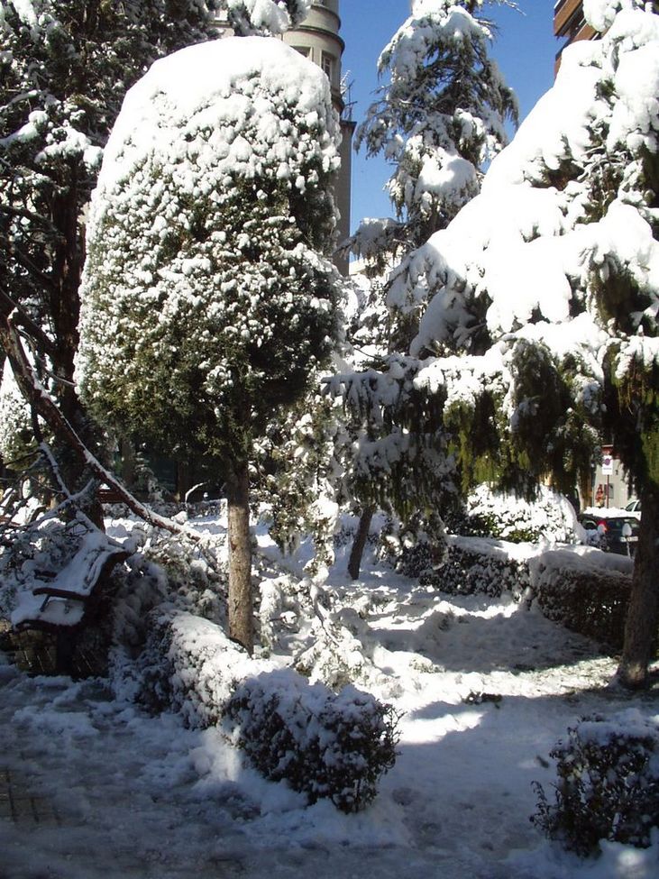 Foto de Albacete (Castilla La Mancha), España