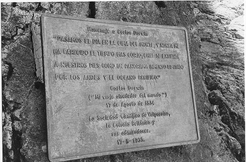 Foto de OLMUE, Chile