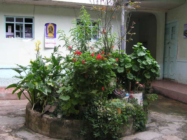 Foto de CUTERVO, Perú