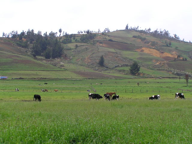 Foto de CUTERVO, Perú