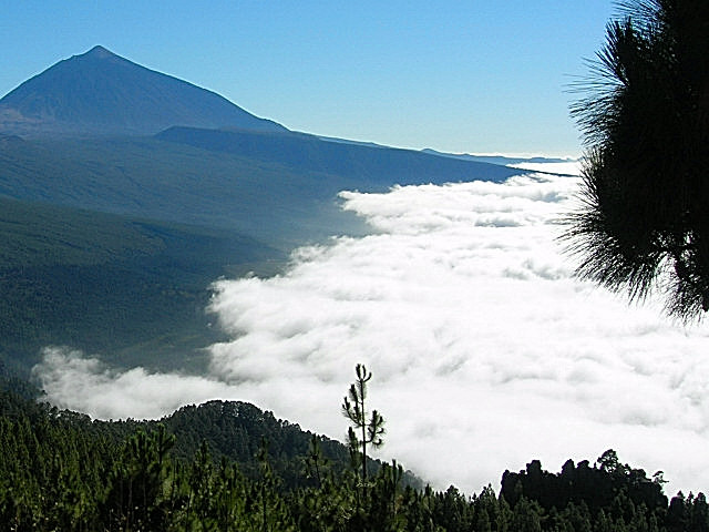 Foto de Tenerife (Santa Cruz de Tenerife), España