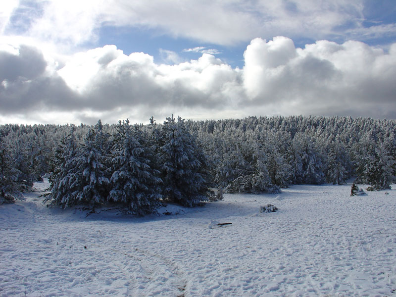 Foto de Valdelinares (Teruel), España