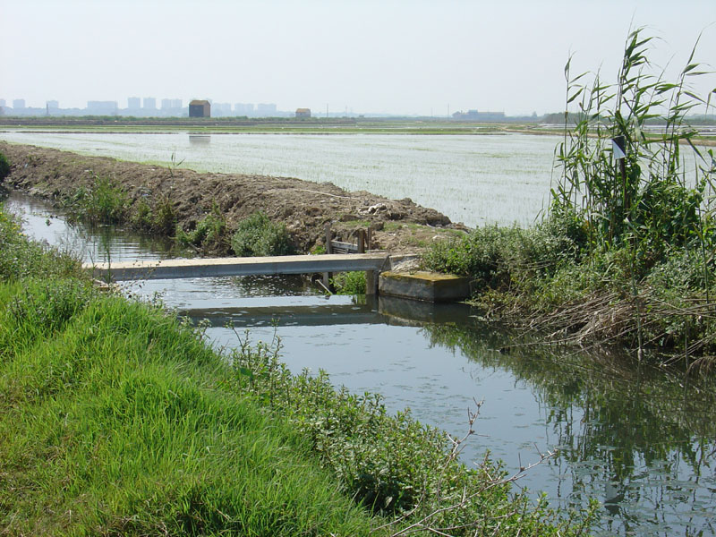 Foto de Massanassa (València), España