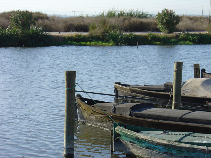 Foto de Catarroja (València), España