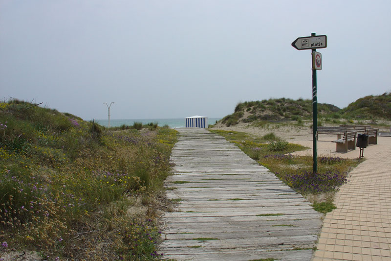 Foto de Valencia (València), España