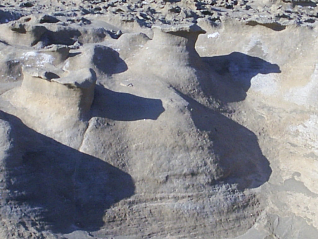 Foto de El Médano-Tenerife (Santa Cruz de Tenerife), España