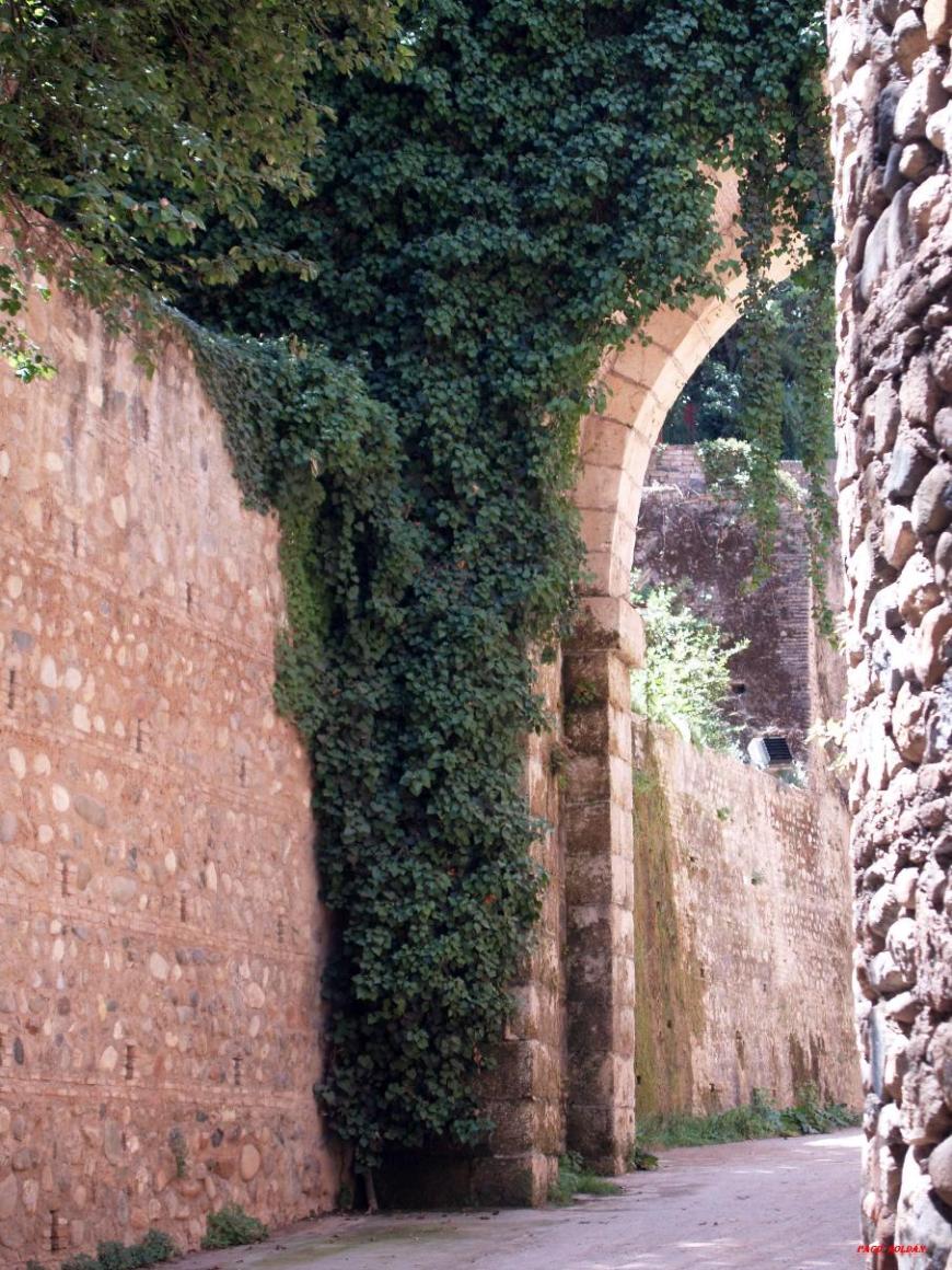 Foto de Granada (Andalucía), España