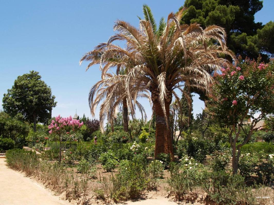 Foto de Granada (Andalucía), España